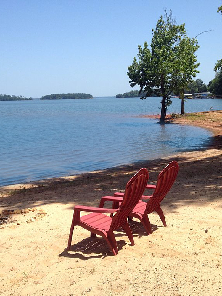 lake hartwell association