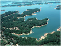 lake hartwell shoreline management plan 2020